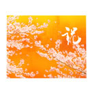 ��C23�ۺ��֡ʤ�������