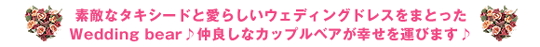 愛らしい2種類のテディベアがあなたのメッセージをお届けします
